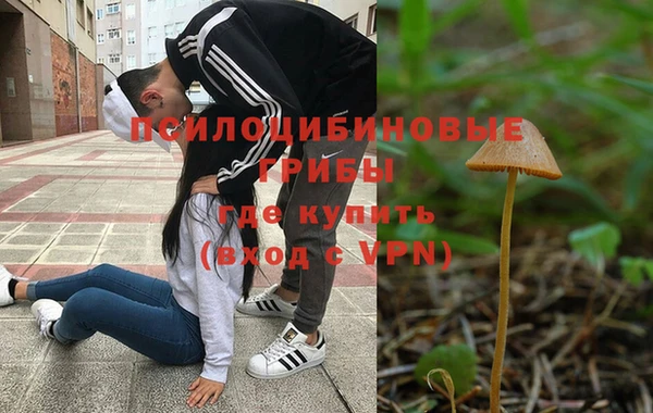 гидропоника Зеленодольск
