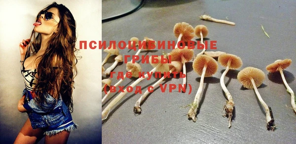 гидропоника Зеленодольск
