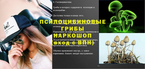 гидропоника Зеленодольск