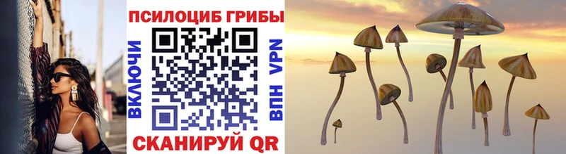 Псилоцибиновые грибы Psilocybe Артём